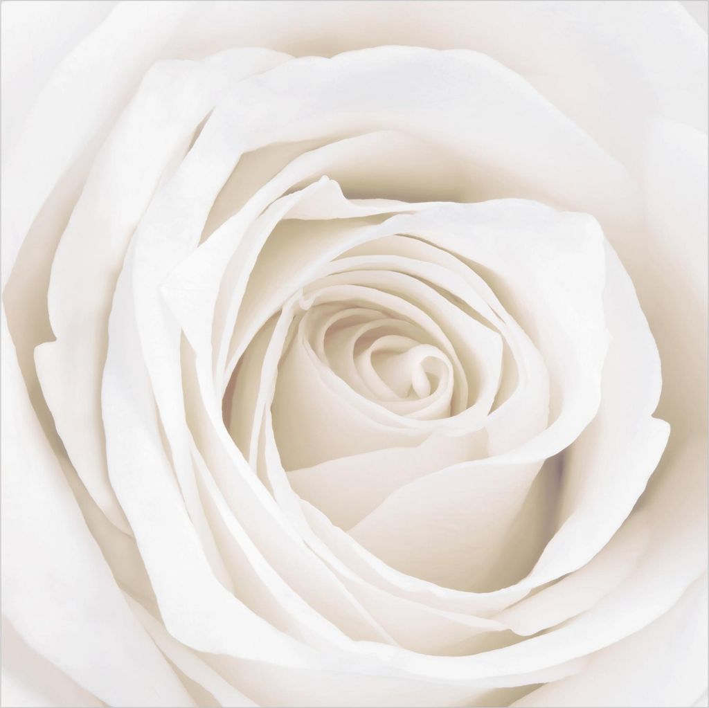 Fototapete Blumen - Vliestapete - Bildtapete UV-beständig Rose beige Landhaus Wandtapete geruchsfrei