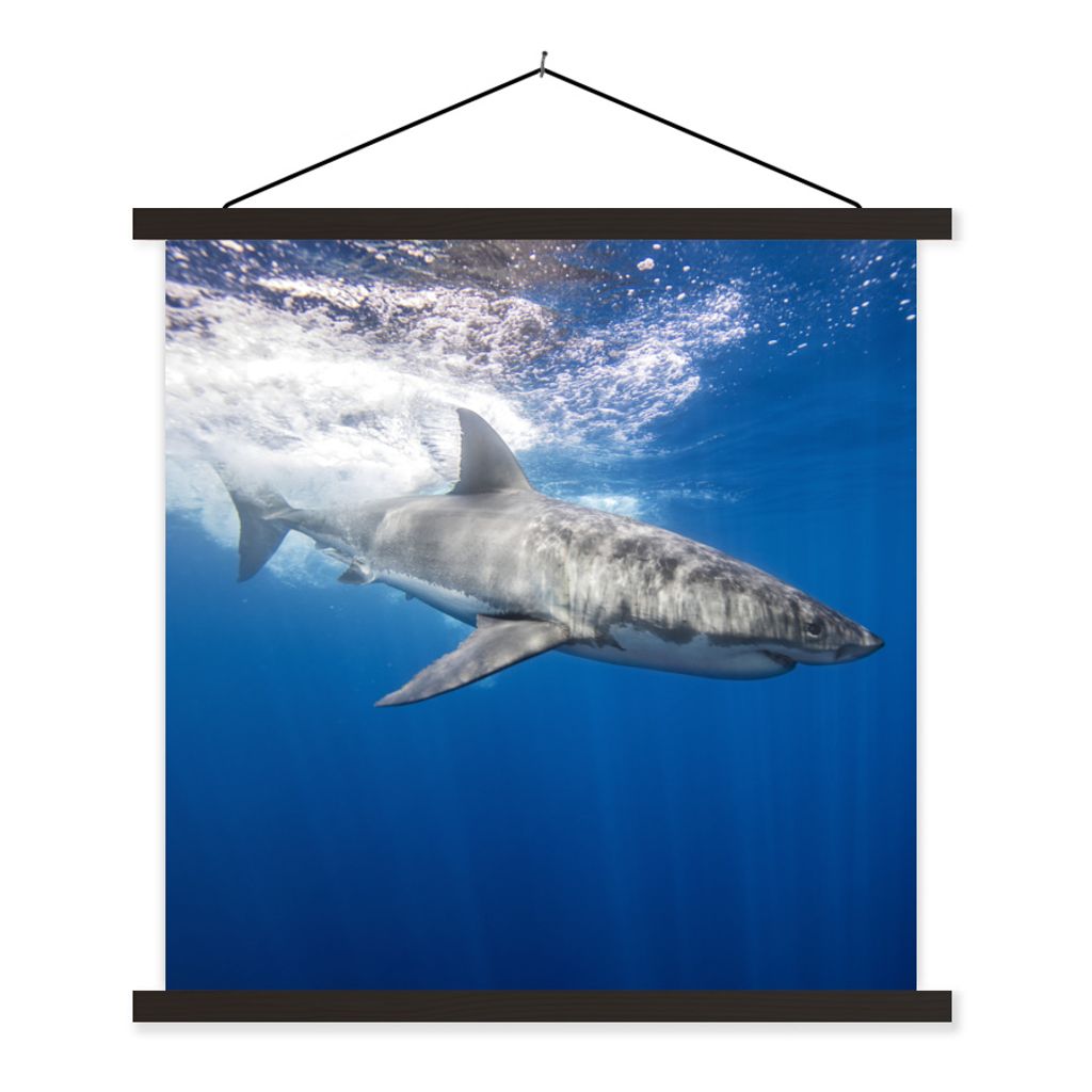 MuchoWow Textilposter Hai - Meer - Wasser 90x90 cm mit schwarzem Rahmen - Magnetisches