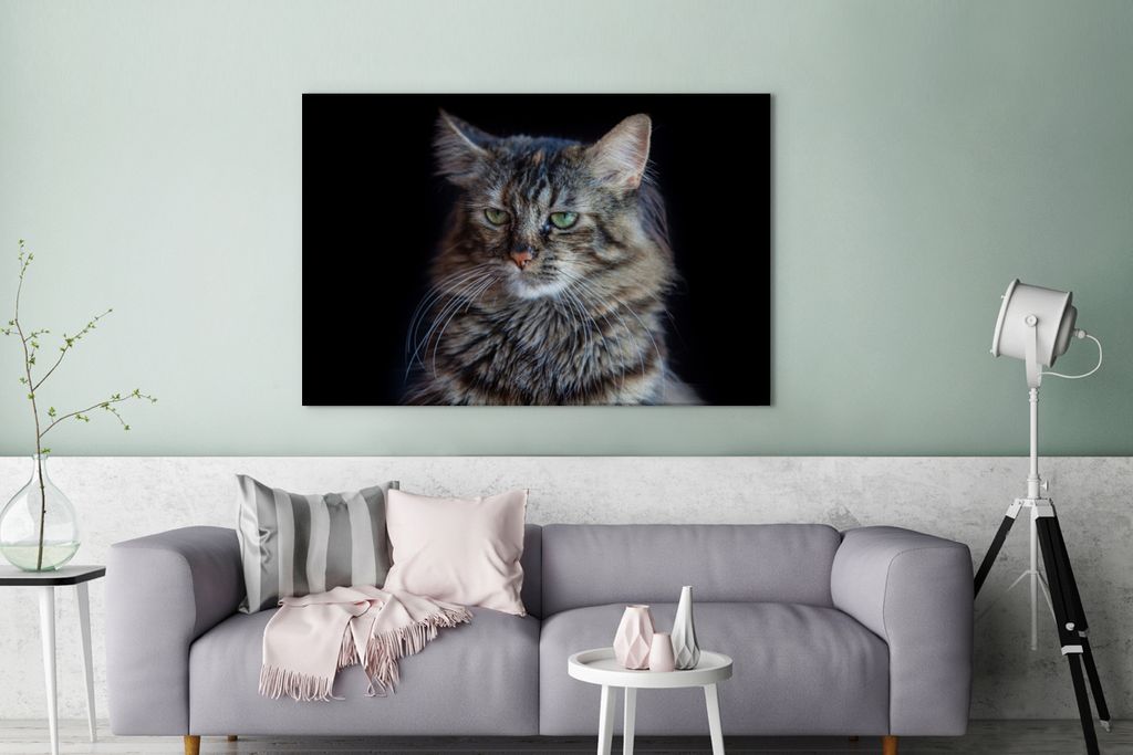 OneMillionCanvasses - Leinwandbilder - 140x90 cm, Maine Coon Katze mit schwarzem Hintergrund, Wandbilder Kunstdruck Wanddekoration - Foto auf Lei...
