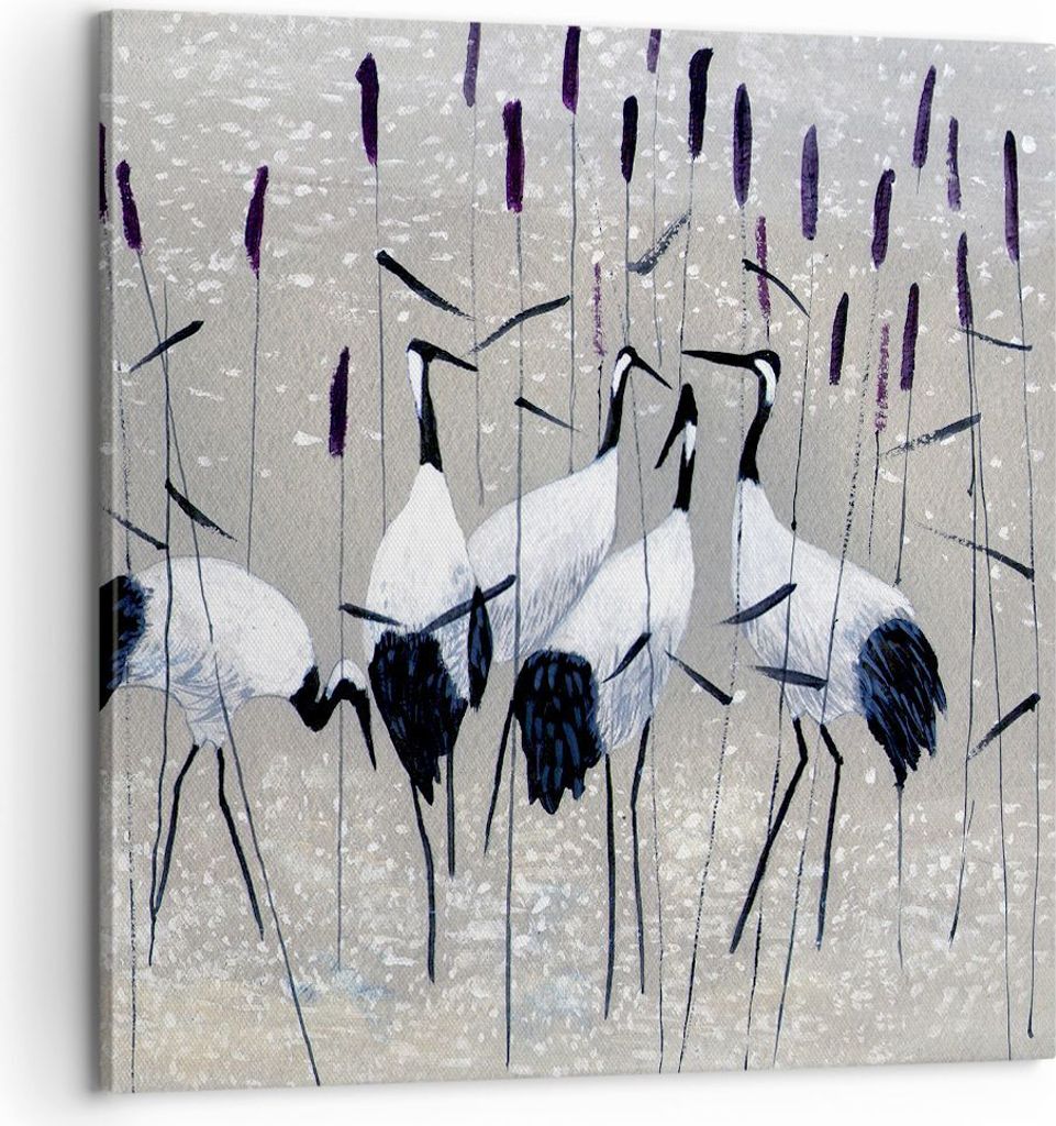 Bild auf Leinwand - Leinwandbild - Vogel Natur Wasser - 60x60cm - Wand Bild - Wanddeko - Wandbilder - Leinwanddruck - Bilder - Kunstdruck - Wanddek...