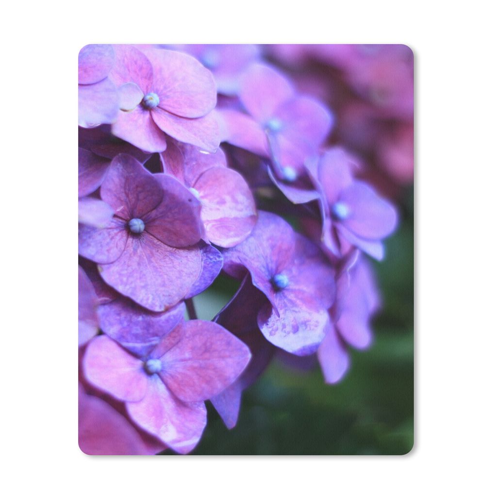 MuchoWow Mauspad Mousepad Blumen - Lila - Hortensie - Natur - Blütenblätter 19x23 cm - Mousepads - Maus Mat - Pad - Mausunterlage - Mauspads - ...