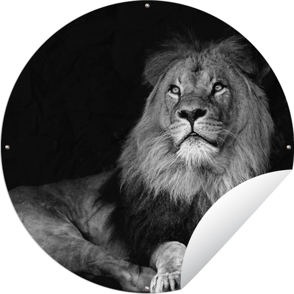 MuchoWow Gartenposter Outdoor-Poster Rund Liegender Löwe vor schwarzem Hintergrund - schwarz und weiß Ø 150 cm Gartendeko Rundes Poster draußen