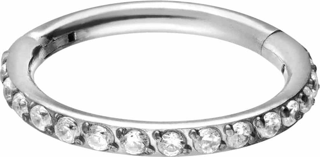 Ohrpiercing, Nasenpiercing, Septum Piercing Titan Segmentring Clicker EINGEFASSTE KRISTALLE WeißGold Innendurchmesser: 9mm + Stabstärke: 1,2mm