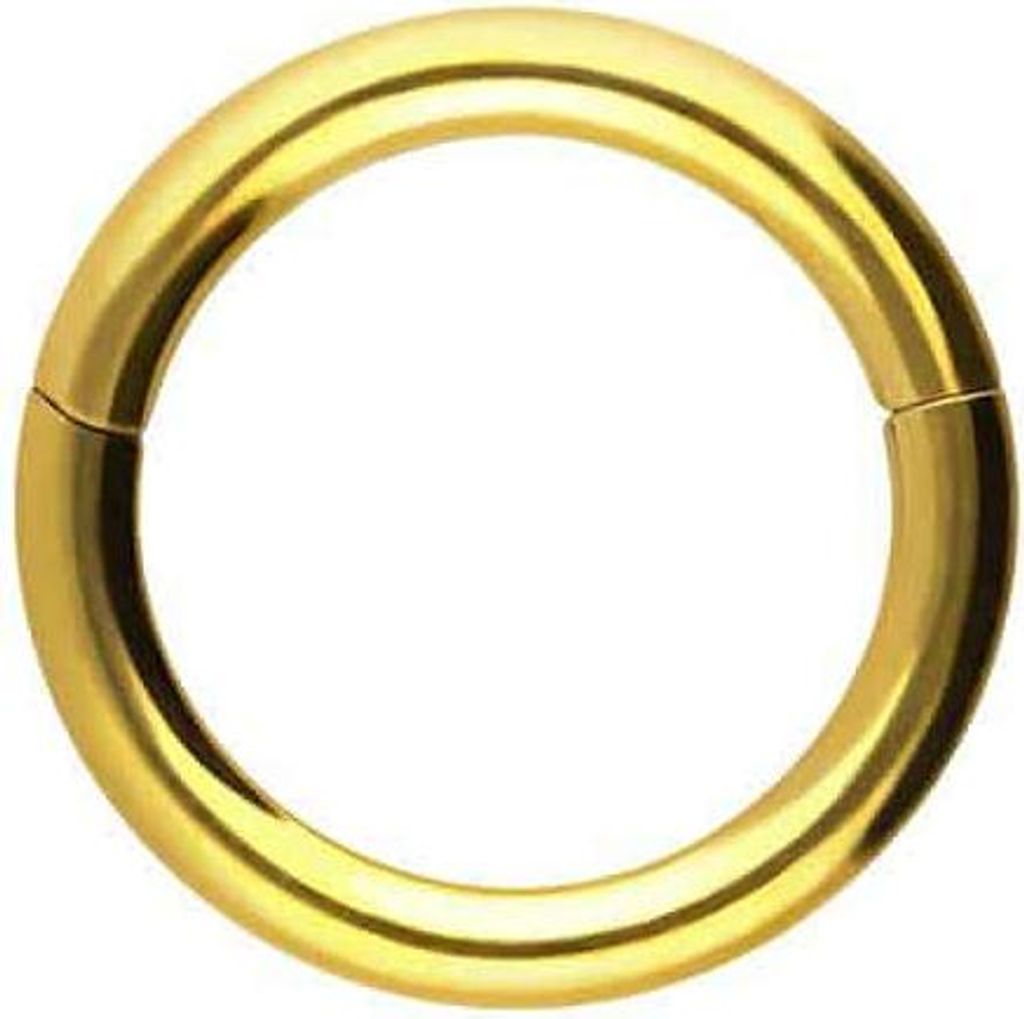 Ohrpiercing, Nasenpiercing, Septum Piercing Titan Segmentring Clicker Gold Innendurchmesser: 6mm + Stabstärke: 1,2mm