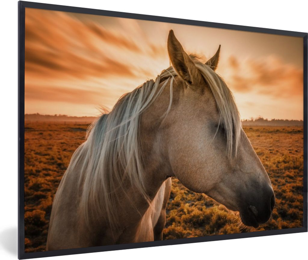 MuchoWow Gerahmtes Poster Pferd - Tiere - Porträt 30x20 cm - Poster mit Schwarzem Bilderrahmen Wandposter Rahmen Foto Bilder - Kunstdruck - Bild...