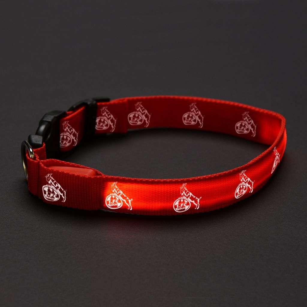 LED Hundehalsband Gr. M 1. FC Köln Produktbild 