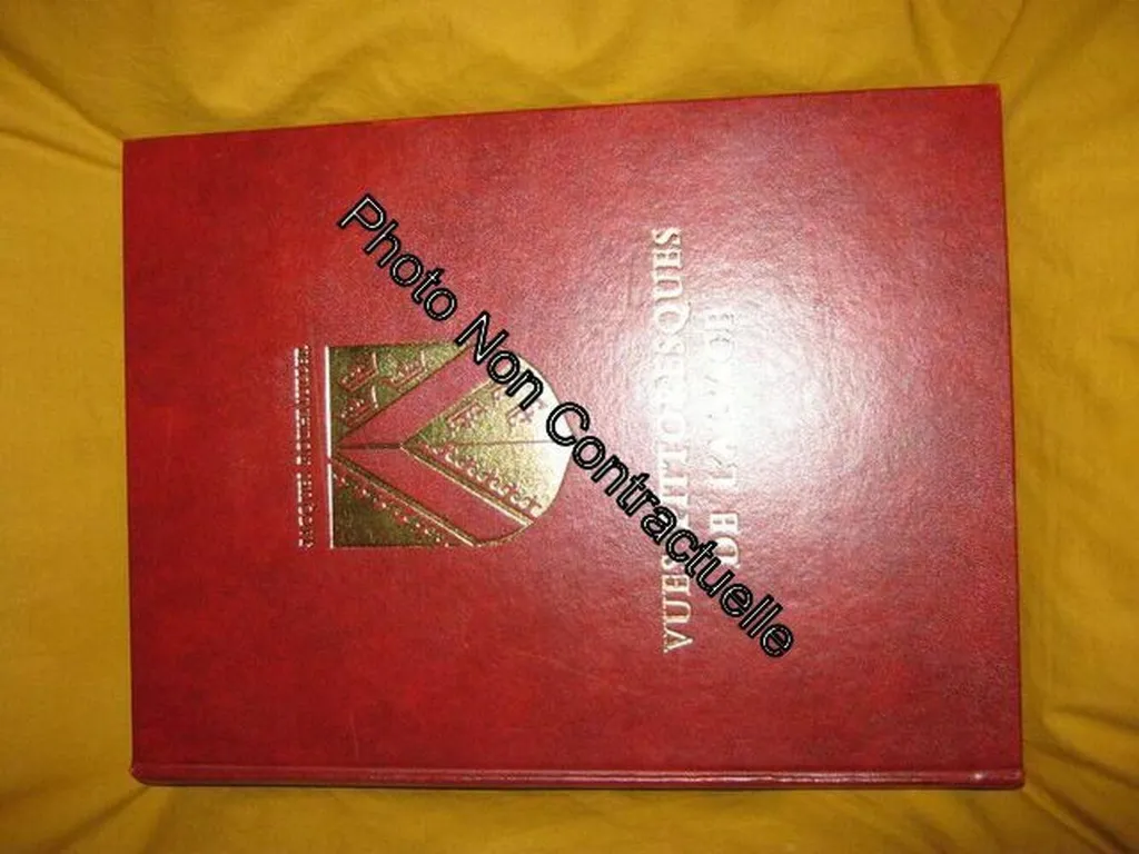 Livre Vues Pittoresques de l'Alsace - Album Gravures Historiques