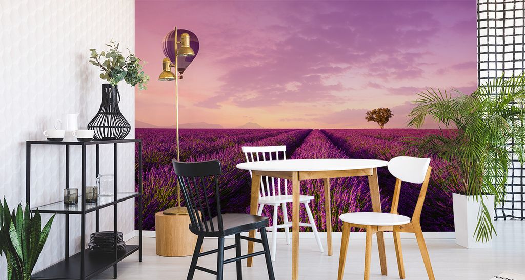 Fototapete Vlies Tapete wunderschönes Lavendelfeld 360 cm (B) x 240 cm (H) Wandbild Wanddeko