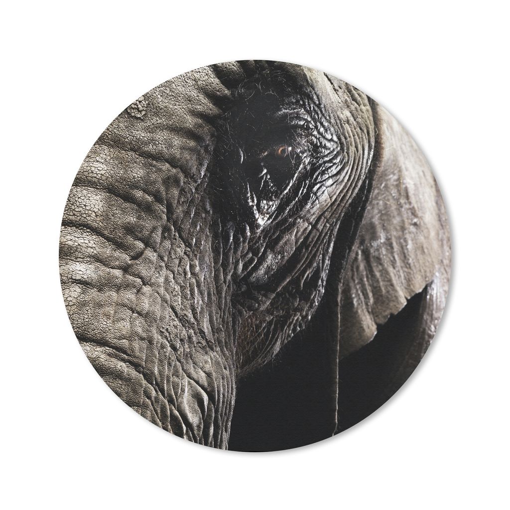 MuchoWow Mauspad Mousepad Elefant - Tiere - Nahaufnahme - Schwarz 50x50 cm - Mousepads - Maus Mat - Pad - Mausunterlage - Vinyl