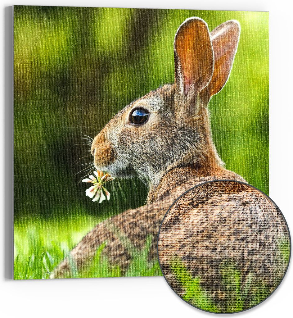 DEQORI Hybrid Leinwand Bild 30x30 cm 'Frühlingshase im Grünen' Wandbild Glas flach modern