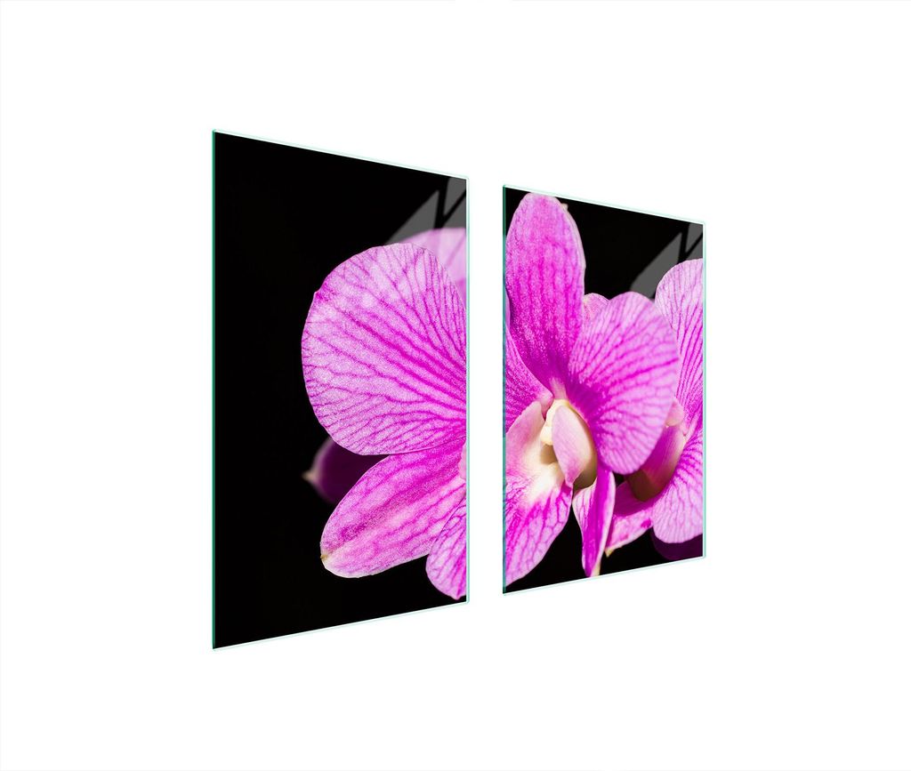 Glasschutzplatte Für Küche 65X52 Orchidee