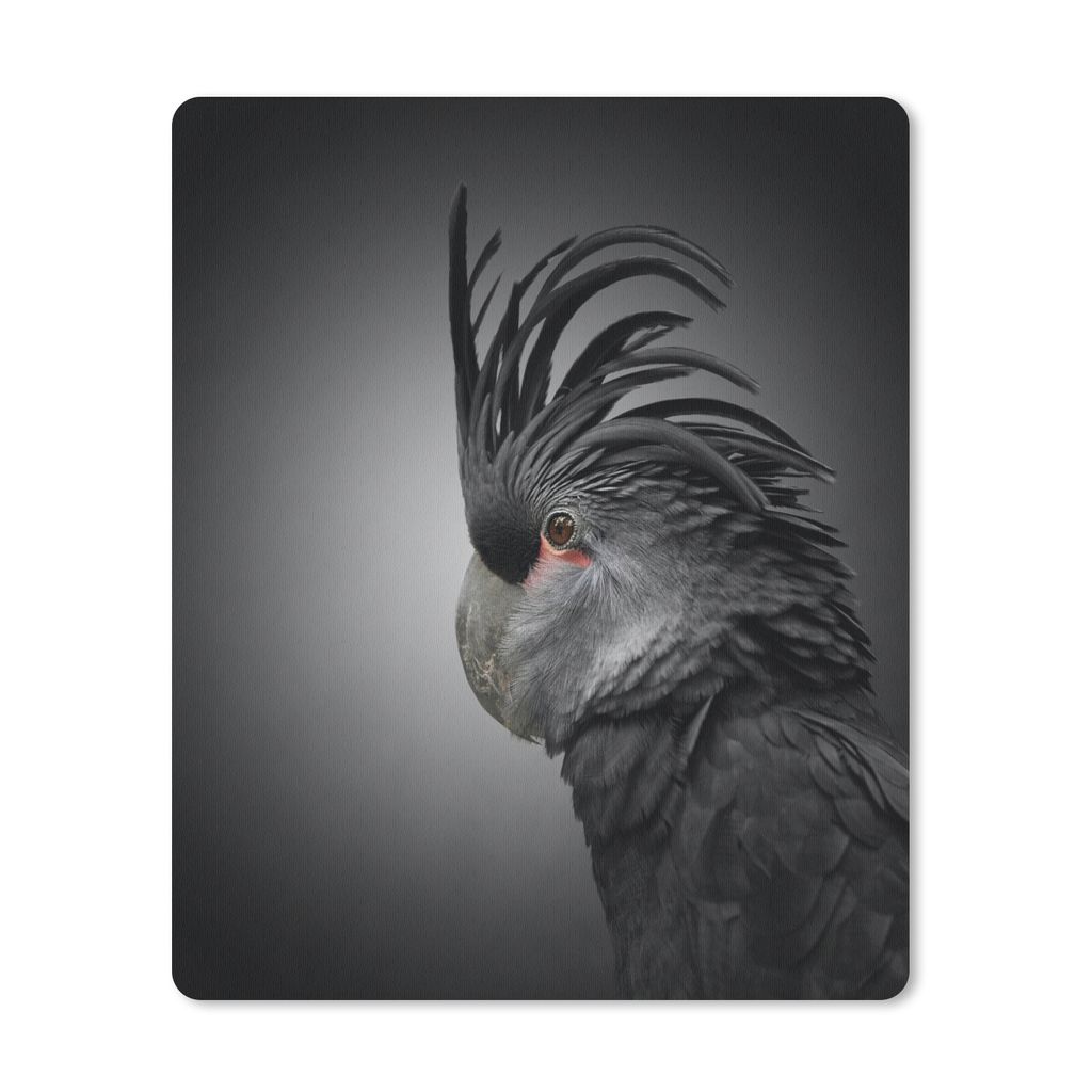 MuchoWow Mauspad Mousepad Nahaufnahme eines Kakadus mit schwarzem und grauem Gefieder 30x40 cm - Mousepads - Maus Mat - Pad - Mausunterlage - Mau...