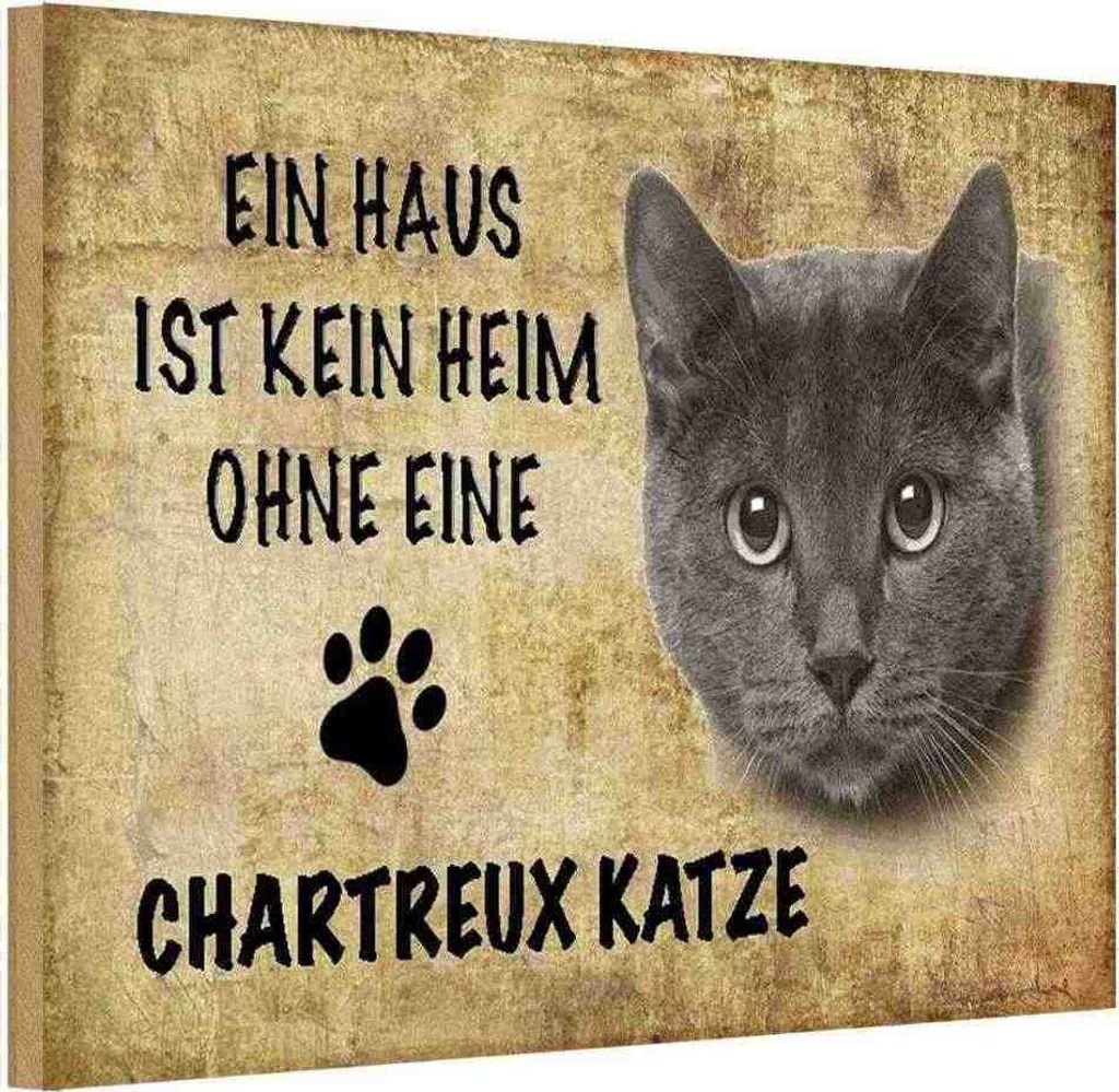 vianmo Holzschild 20x30 cm Chartreux Katze Tier Haustier