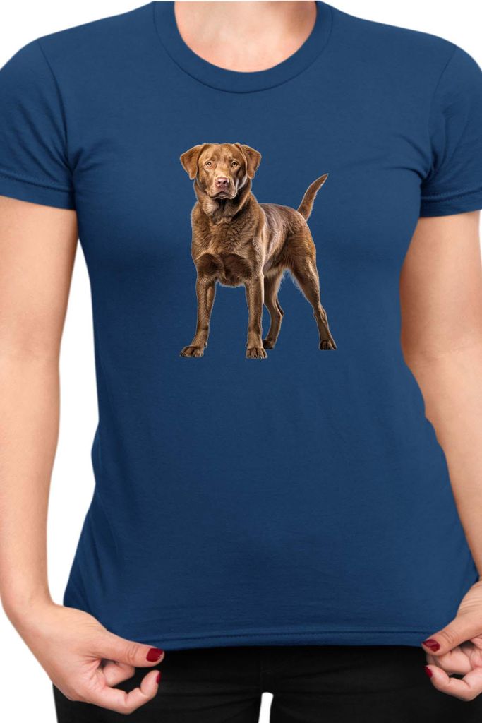 Damen T-Shirt Dogs Breeds Chesapeake Bay Retriever Dog Breed 006, Lady XS / Dunkelblau