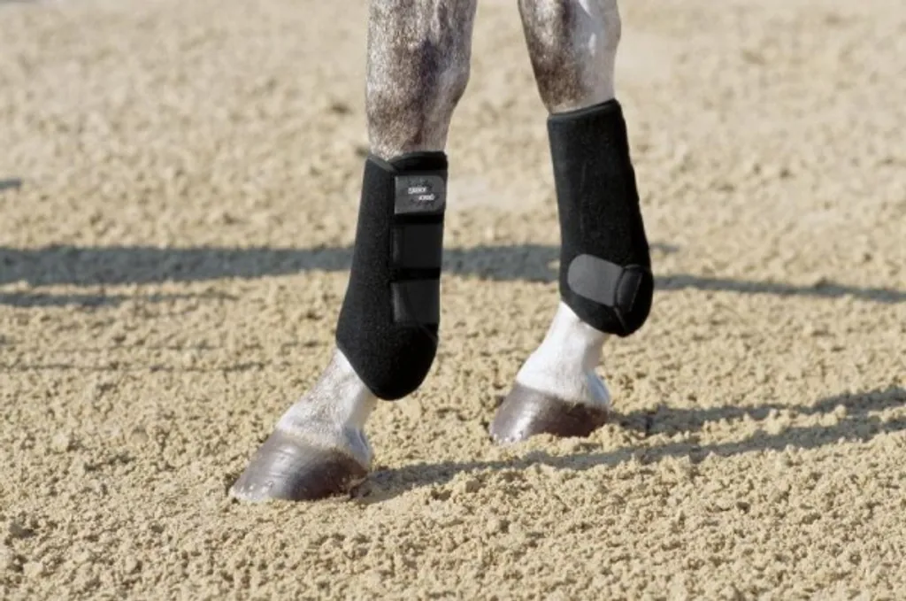 Ghette Cavallo Eskadron PRO DRESSAGE Ant. | Offerta Prezzo