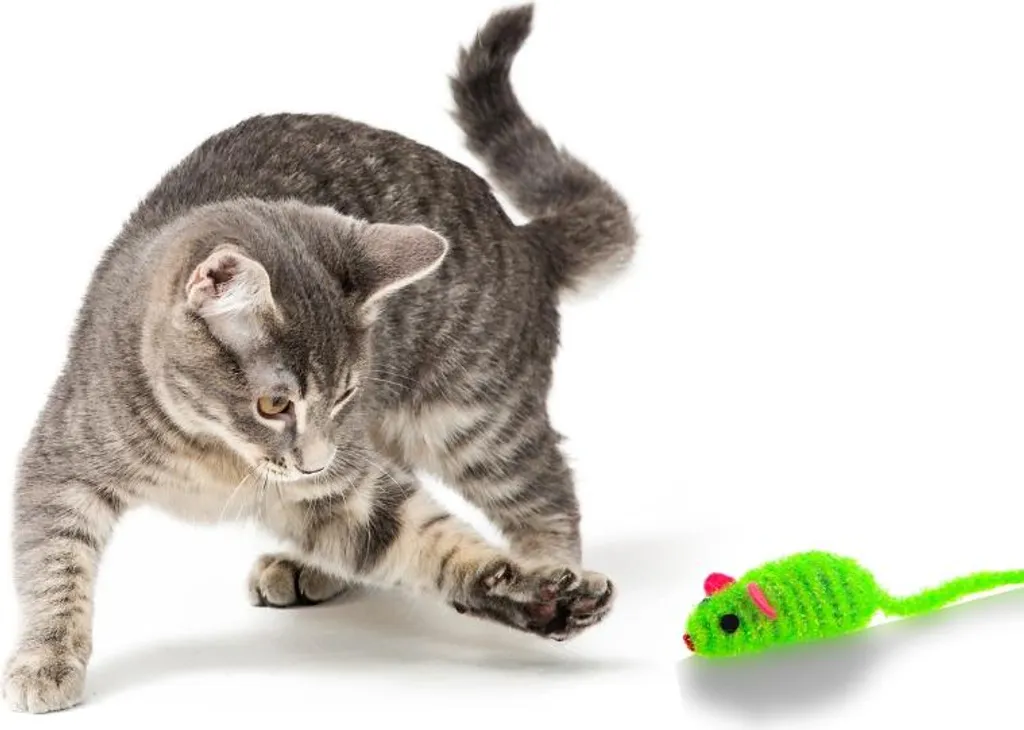 Jouet souris pour chat HappyPet Fiesta - Accessoire de jeu et d'éveil