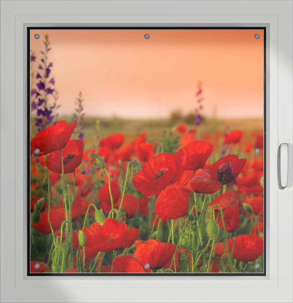 Wallario Lichtschutzbild, Dekorativer Sichtschutz Sonnenschutz 96 x 100 cm mit Motiv: Mohnblumen auf dem Feld - Verdunklung ohne Bohren