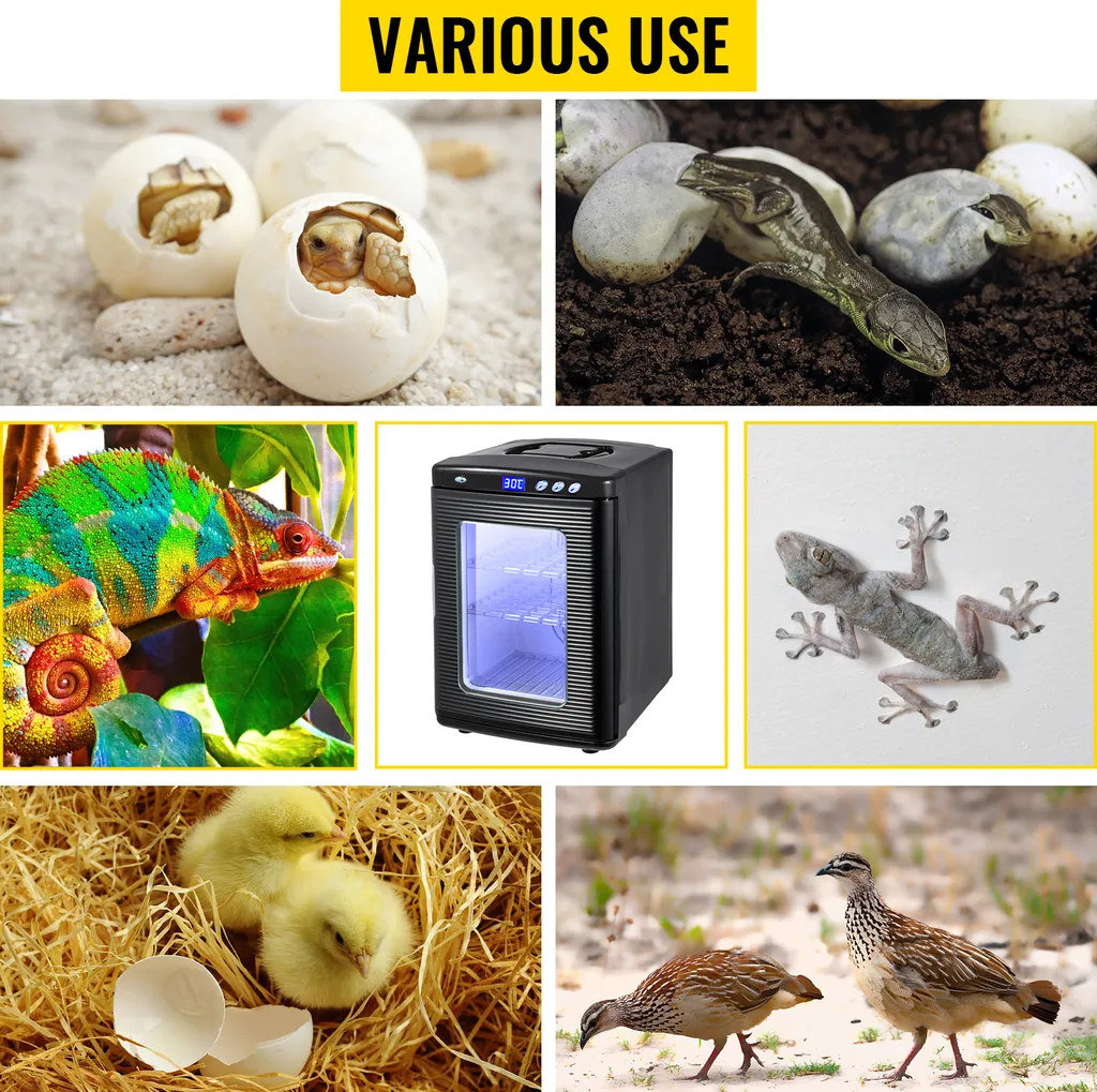 Incubateur pour Œufs de Reptiles 25L - Couveuse Digitale Programmable