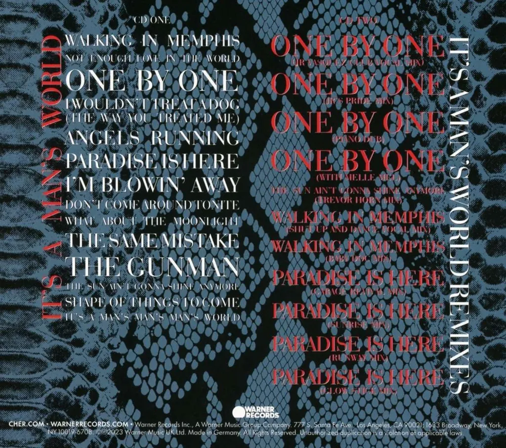 Album 2 CD Cher It's A Man's World Réédition Deluxe Son Remasterisé - 4