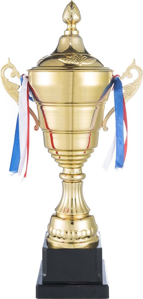 Goldener Pokal mit Deckel - Große Trophäe (36x17cm) - Produktbild 