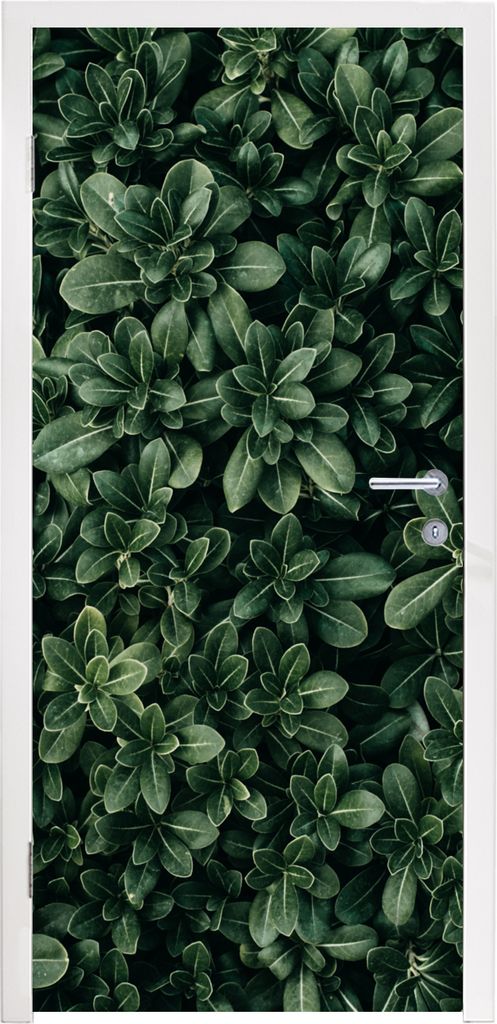 MuchoWow Türtapete Selbstklebende Türfolie Blätter - Pflanzen - Natur 95x235 cm Türposter Türaufkleber Klebefolie Türklebefolie - XXL-Poste...
