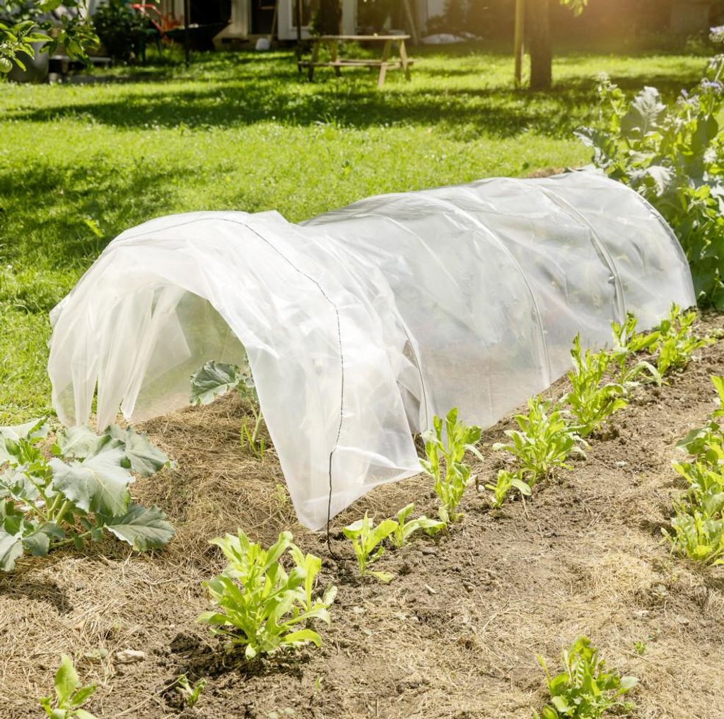 Windhager 07093, Niedrigtemperaturschutz, Snow protection, Windschutz, Gartenpflanze, Durchscheinend, 60 g/m², 450 mm, 3000 mm