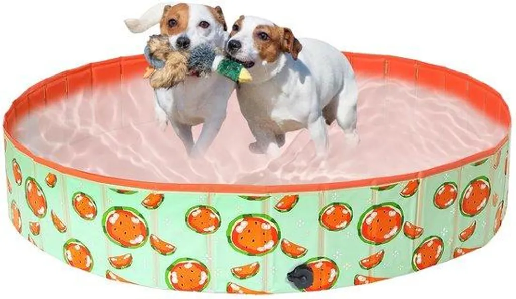 Bassin pour chiens portable et polyvalent sûr - 3 tailles au choix
