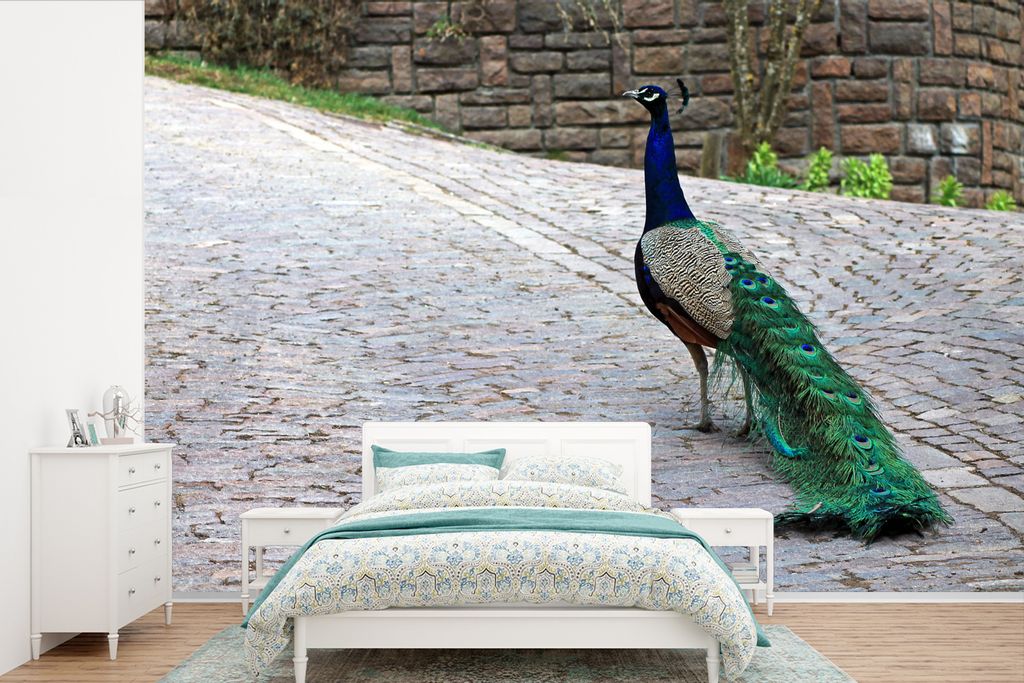 MuchoWow Fototapete für Wohnzimmer oder Schlafzimmer Wandtapete Vinyl Motivtapete Pfau - Federn - Steine - 525x350 cm - Das Hintergrundbild