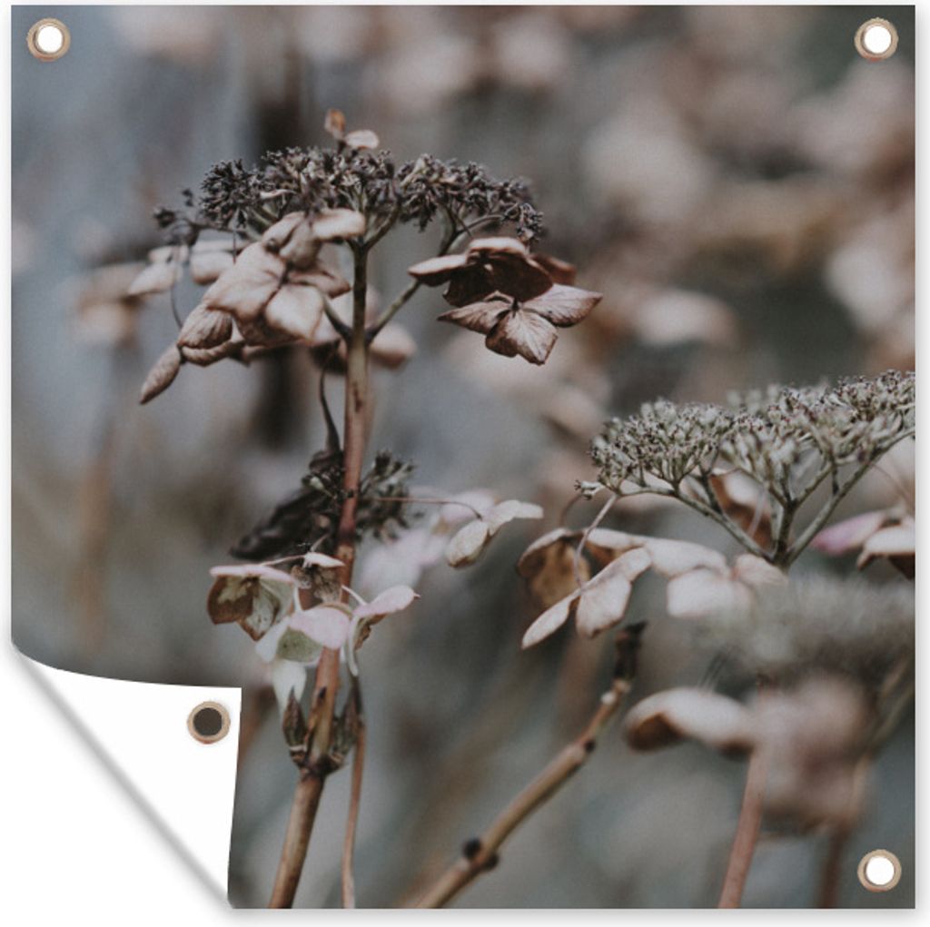 MuchoWow 100x100 cm Outdoor-Poster Gartendeko Sichtschutz Garten Poster für den Garten Blumen - Eiscreme - Winter