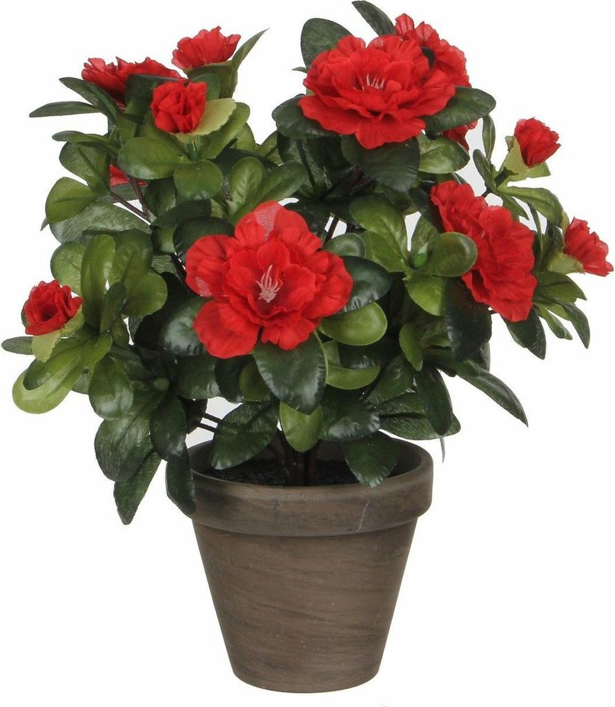 Mica Decorations Kunstliche Pflanze - Azalee - grun/rot - 27 cm