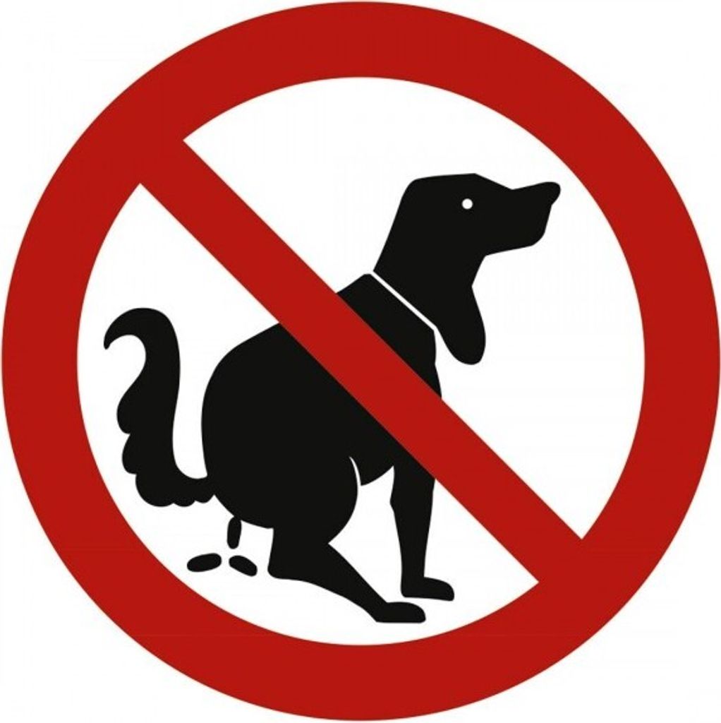 Dreifke® Schild Verbotszeichen | Hier kein Hundeklo | Alu Produktbild 