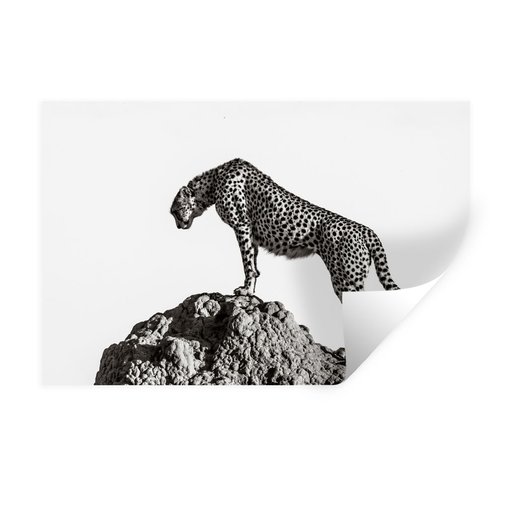 MuchoWow Wandtattoo Wandsticker Wandaufkleber Raubtier - Panther - Tiere - Natur 90x60 cm Selbstklebend und Repositionierbar - Aufkleber