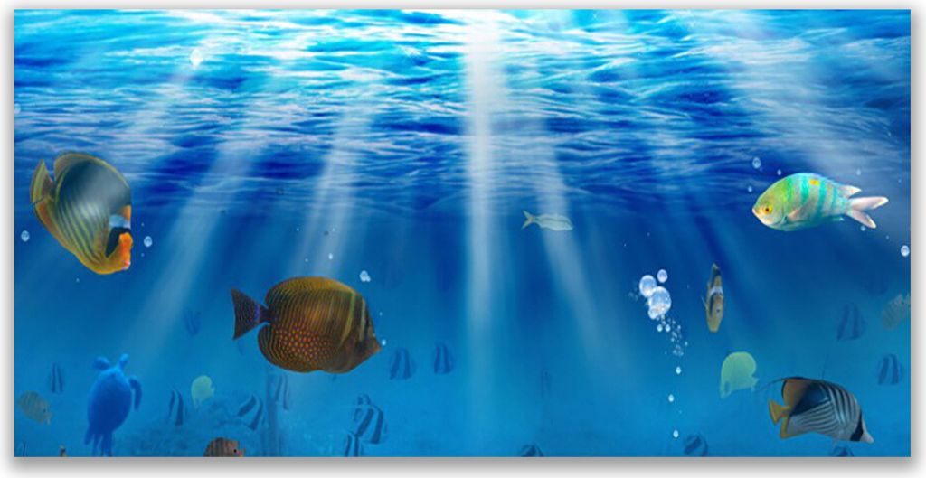 Tulup Leinwand-Bilder 120x60 Wandbild Canvas Kunstdruck Fische Natur