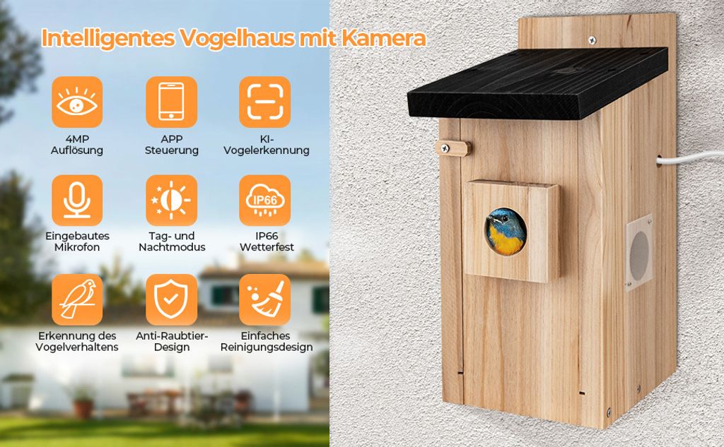 RAINBEAN Bird House mit Camera, 4 Millionen Pixel Produktbild 4