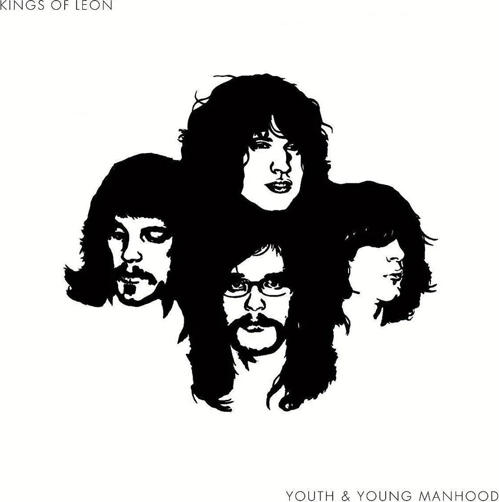 Kings of Leon Youth and Young Manhood 2 LP Son Analogique Sans Distorsion