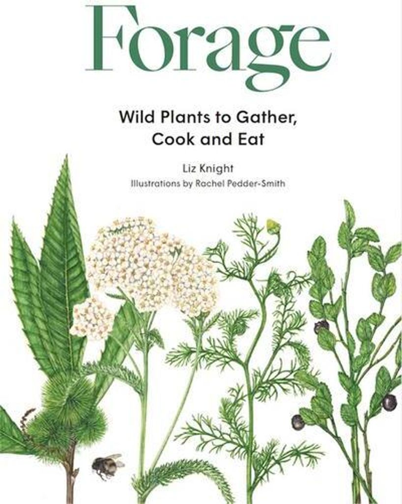 Forage – Lingua: Inglese