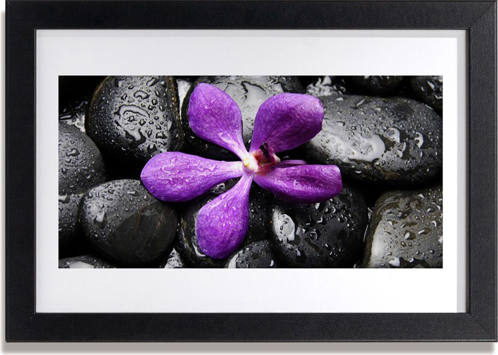 Bild 30x20 MDF-Rahmen Wandkunst Blumen-Stones-Kunst