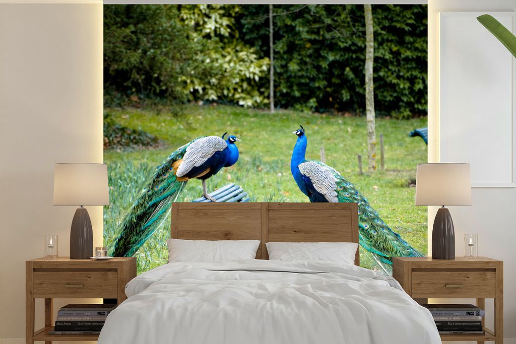 MuchoWow Fototapete für Wohnzimmer oder Schlafzimmer Wandtapete Vinyl Motivtapete Pfau - Bank - Park - 350x350 cm - Schlafzimmertapete