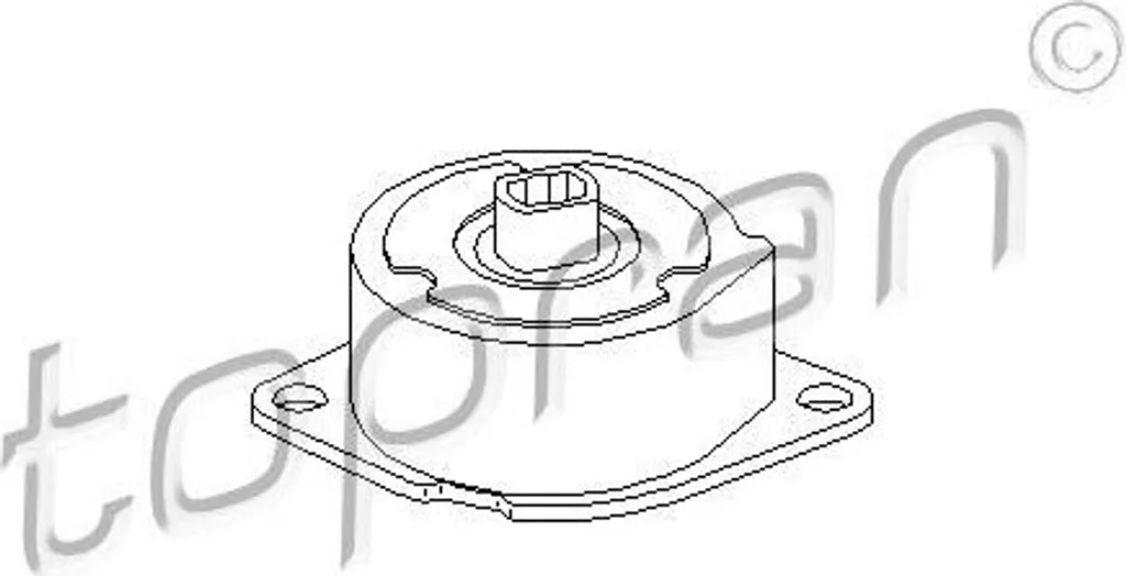 Supprimer Bruit Courroie avec Tendeur 047903315 pour VW Lupo et Skoda 1U