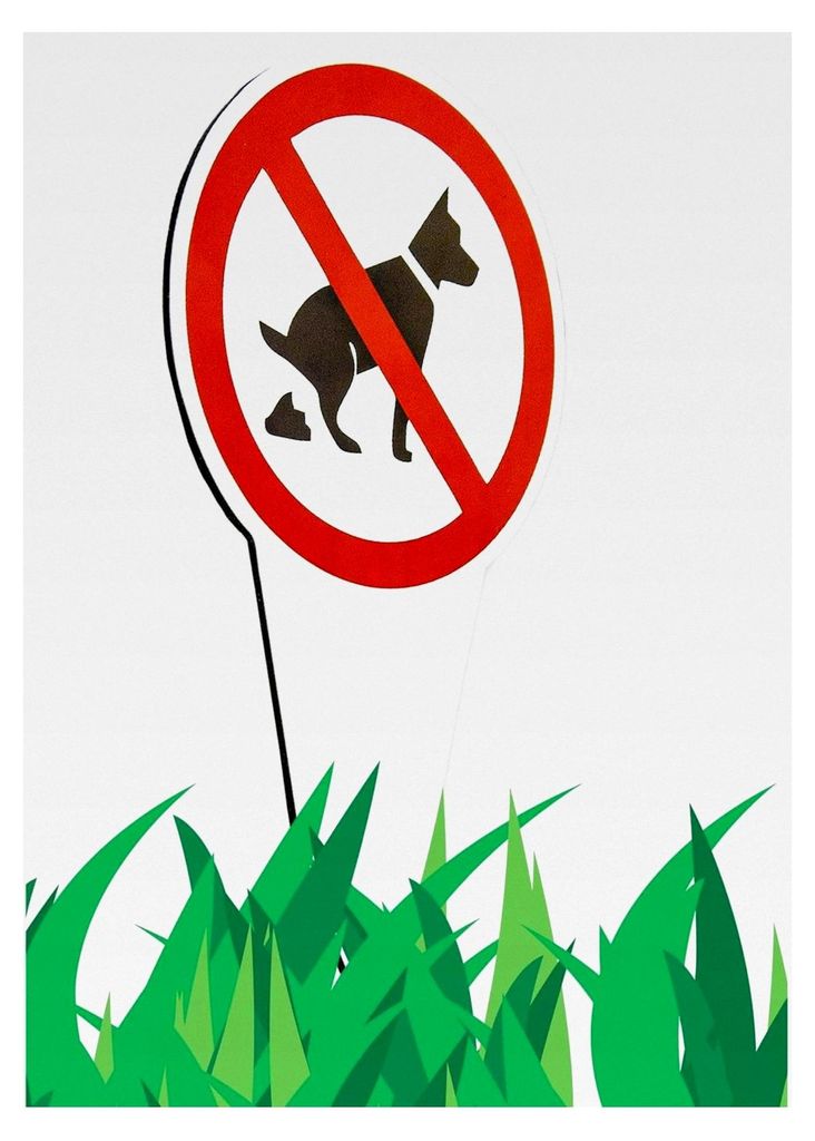 Hinweisschild: Hundekot und Betreten des Rasens verboten – Wetterfest 16x28 cm für Gärten, Parks, Grünflächen – Robuste Outdoor-Schilder