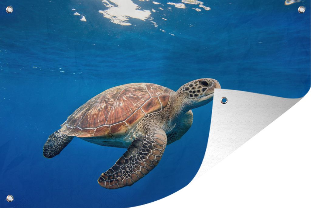 MuchoWow 90x60 cm Outdoor-Poster Gartendeko Sichtschutz Garten Poster für den Garten Schildkröte im Ozean