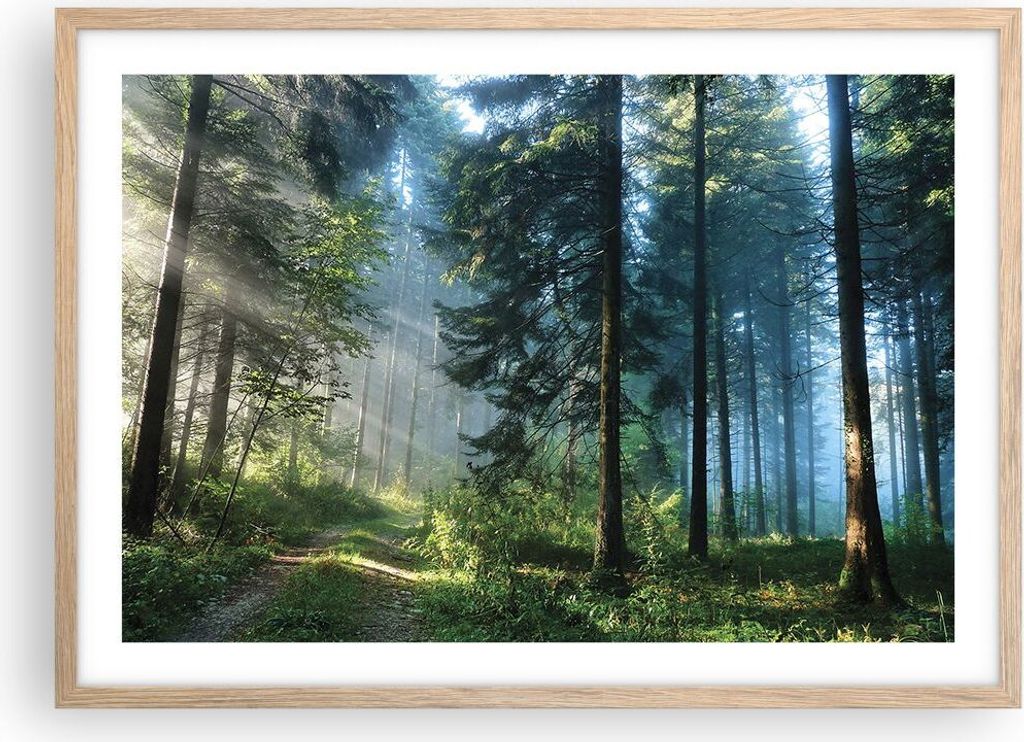 Gerahmtes Poster - Rahmen in heller Eiche - Wald Dämmerung die Sonne - 70x50 cm - Wand Bild - Wanddeko - Wandbilder - Kunstposter - Wandposter - B...