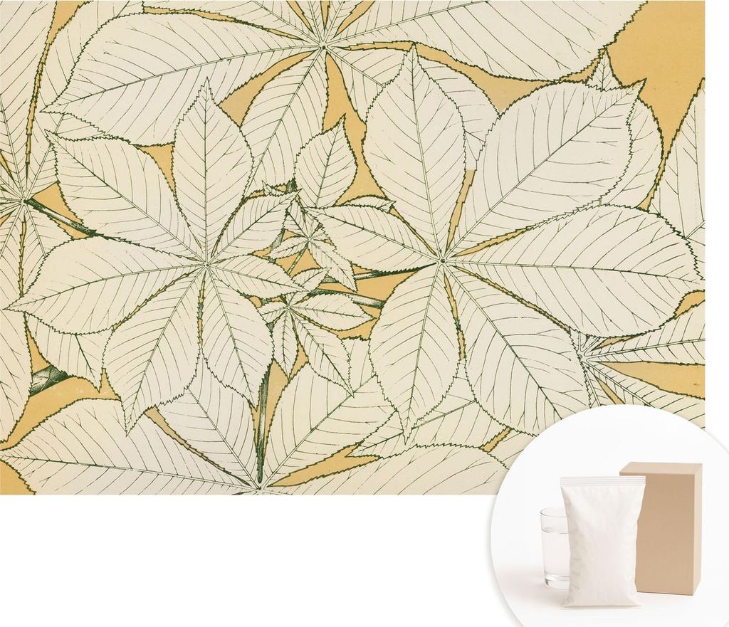 Fototapete - Wandbilder für Wohnzimmer - 312x219 cm - Dekorative Wandfolie - Modernes Design für Wanddekoration - Tapeten für Innenräume - Kast...