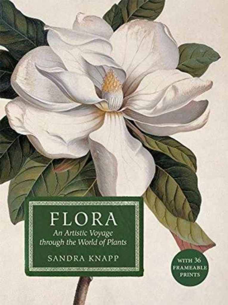 Flora: Eine künstlerische Reise durch die Welt der Pflanzen