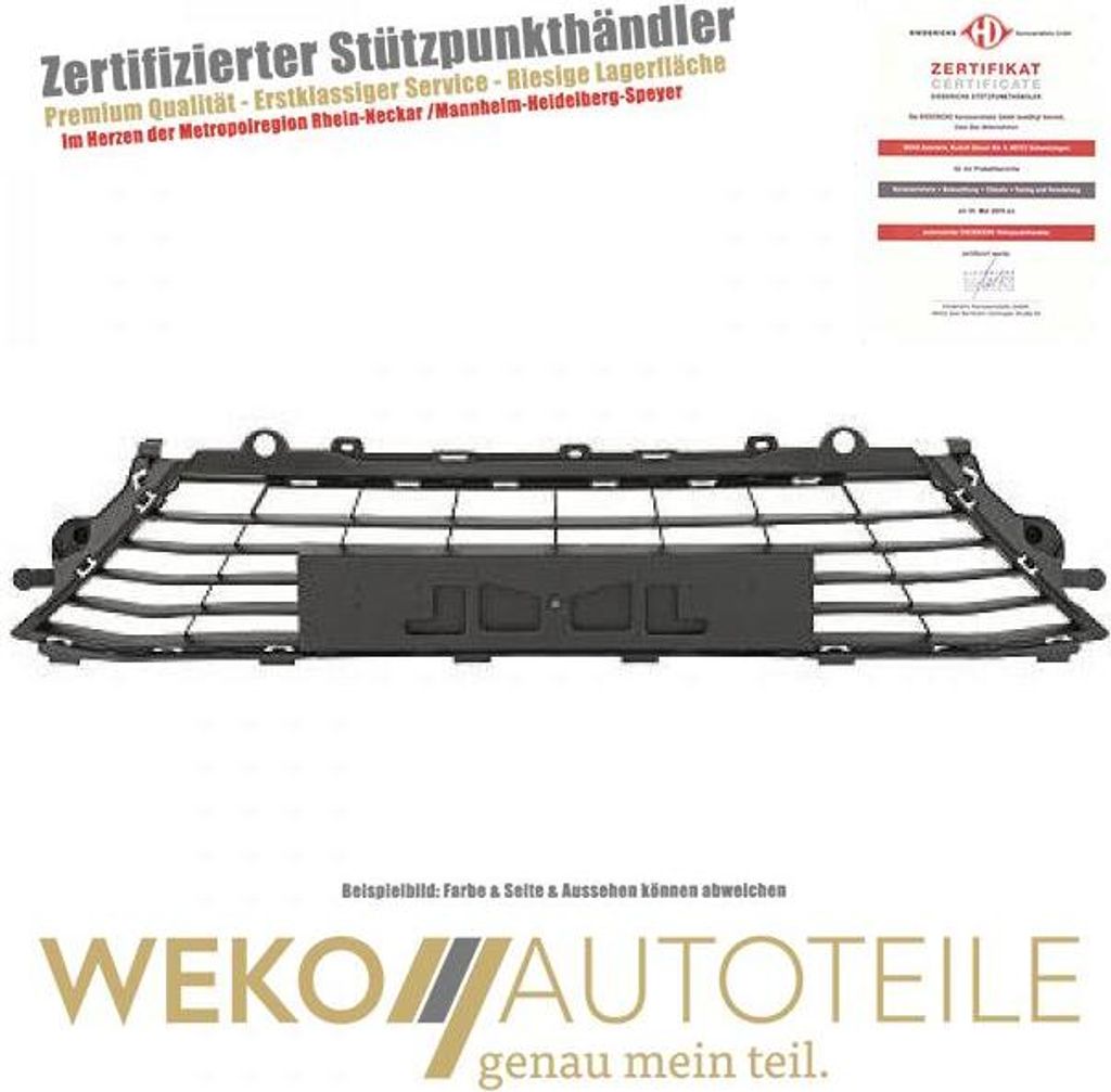 Lüftungsgitter Stoßstange DIEDERICHS 4467045 für RENAULT