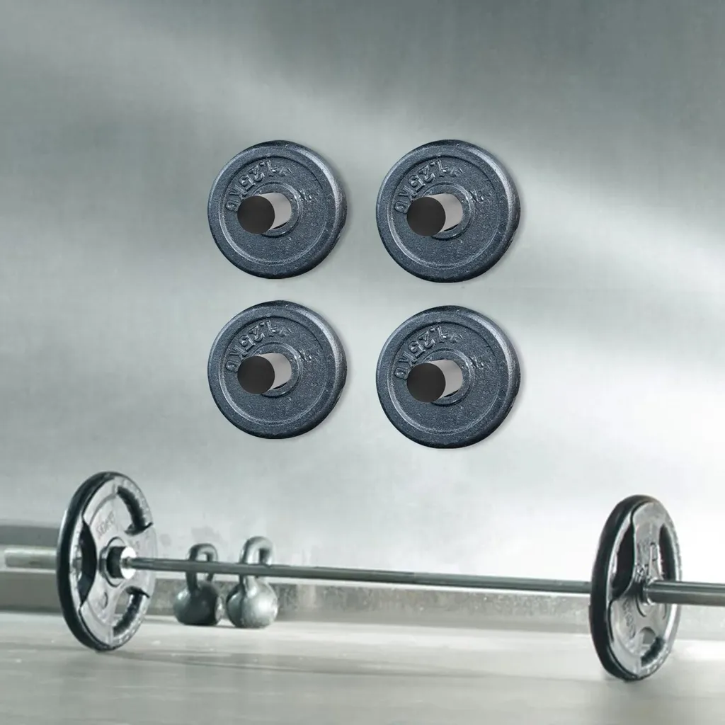 Support mural disques haltères gain de place Lot de 4 Noir Mat 80kg - 7