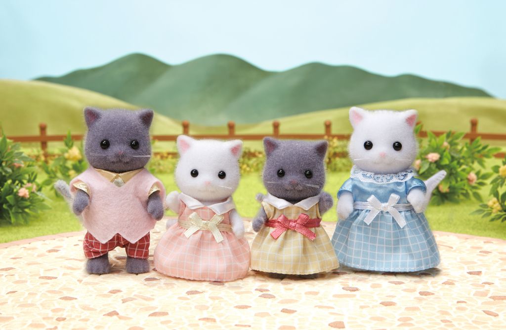 Familie von Perserkatzen Produktbild 6
