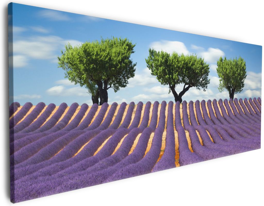 Wallario Premium Leinwandbild Abstraktes lila Blumenfeld mit Lavendel in Größe 80 x 200 cm