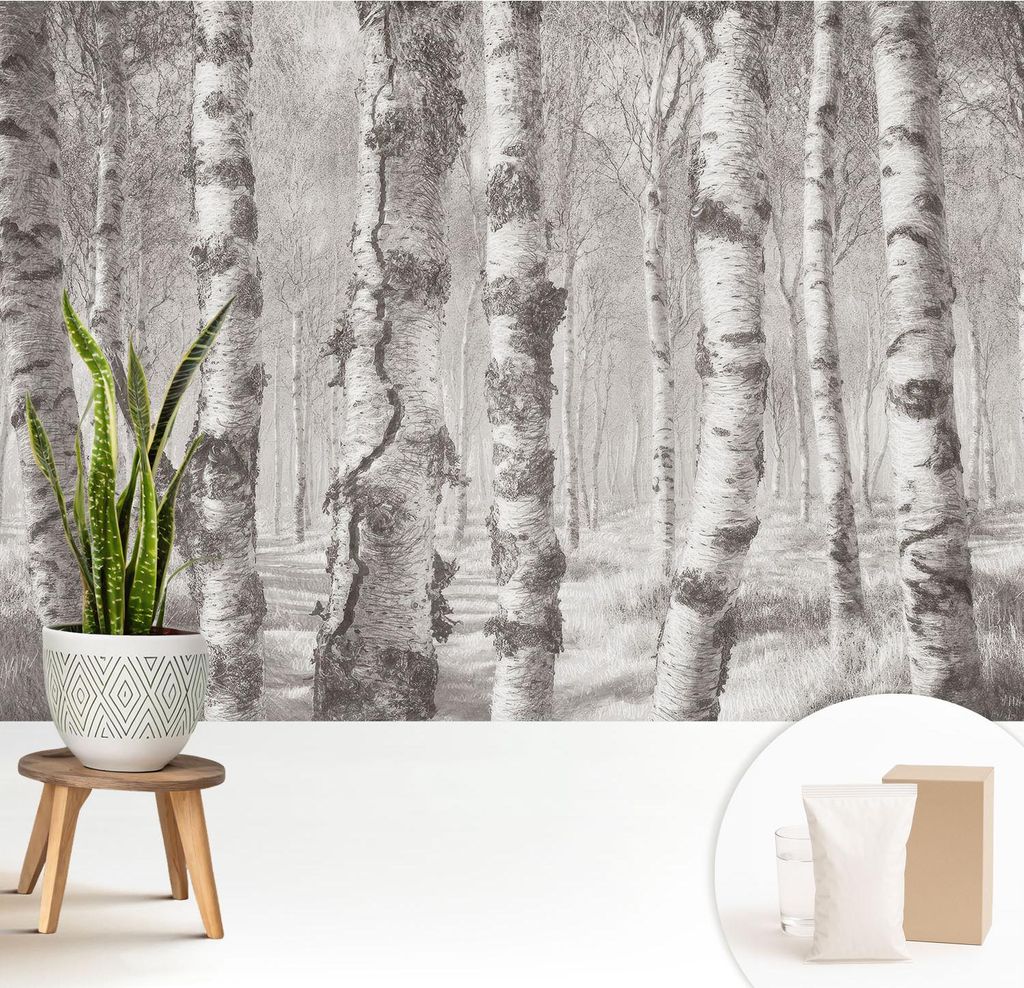 Fototapete - 208x146 cm - Tapete - Wandtapete - Wandbilder - Dekofolie - Tapete Folie - Wand - Dekoration - Wohnzimmer - Birkenwald