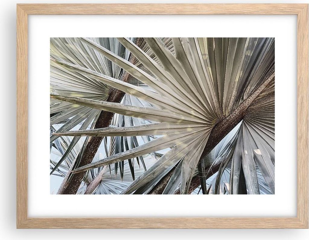 Gerahmtes Poster - Rahmen in heller Eiche - Blatt Palme Natur - 40x30 cm - Wand Bild - Wanddeko - Wandbilder - Kunstposter - Wandposter - Bilderrah...